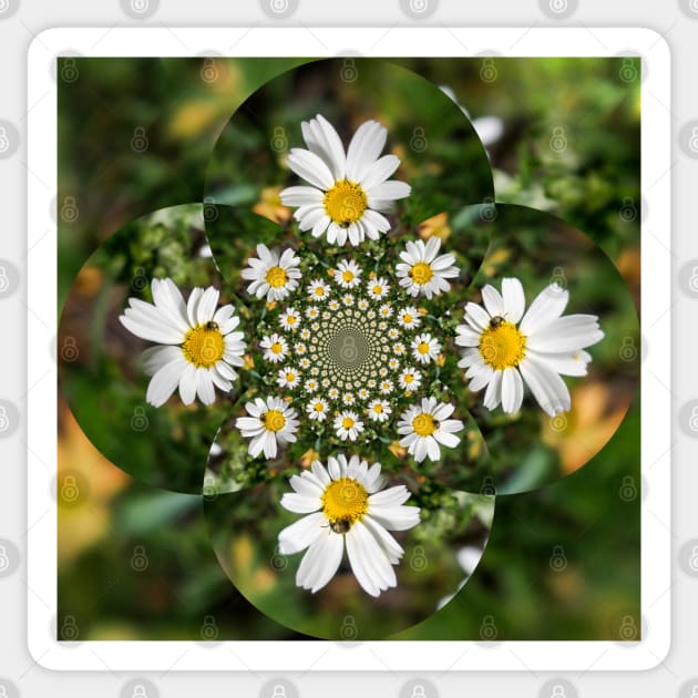 Magic Field Summer Grass - Chamomile Flower with Bug - Polarity Sticker by GrandTartaria